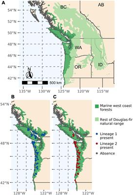 Genetic Lineage Distribution Modeling to Predict Epidemics of a Conifer Disease